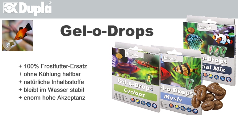 ++++NEU - DUPLA Gel-o-Drops++++