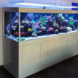 Aquarium Sonderanfertigung