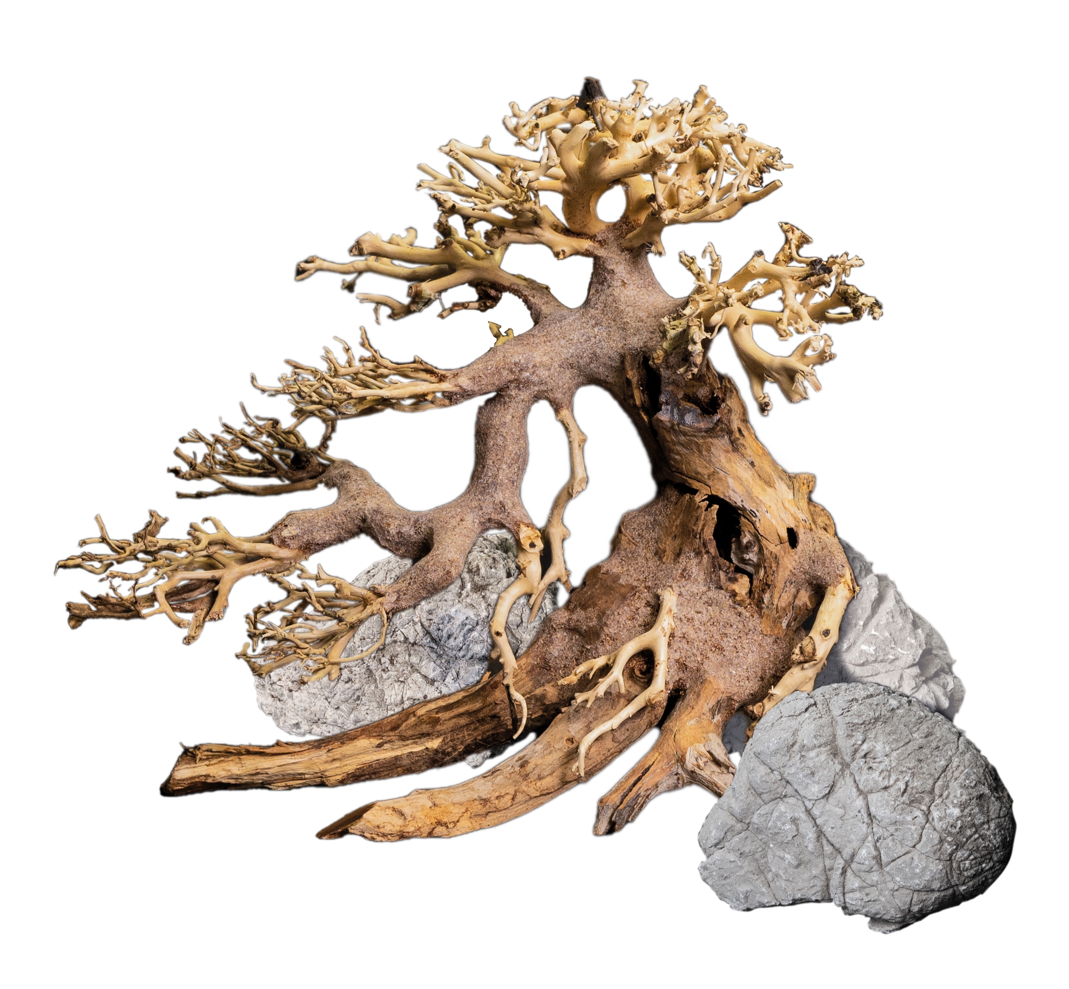 Decoration, Driftwood & Roots