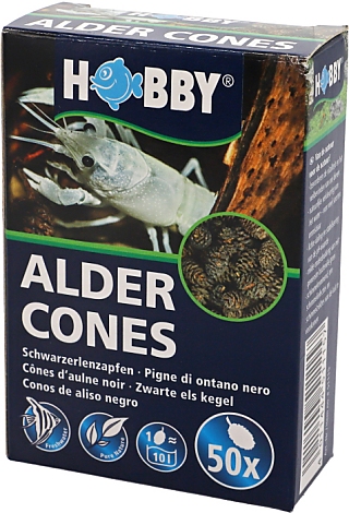 Hobby Alder Cones