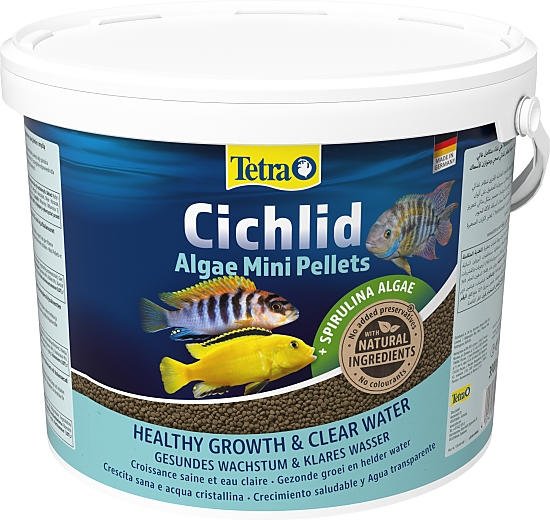 Tetra Cichlid Algae Mini