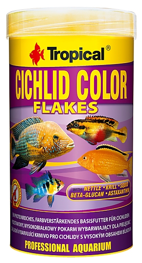 Tropical Cichlid Color