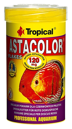 Tropical Astacolor