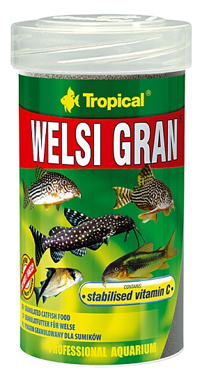 Tropical Welsi Gran