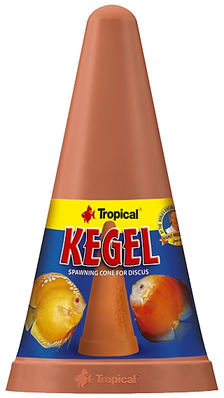 Tropical Diskus Kegel -Ablaichkegel-