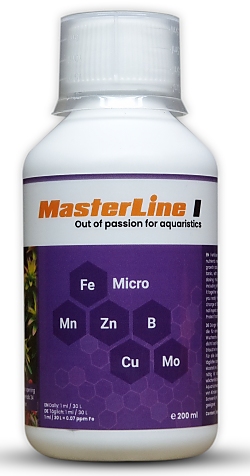 MasterLine I