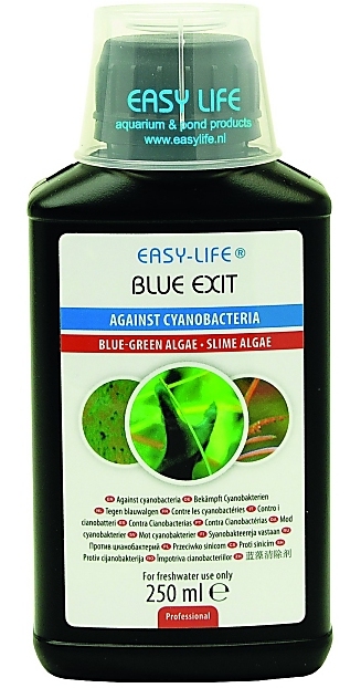 Easy-Life Blue Exit