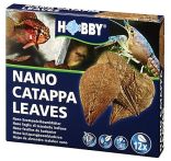 Hobby Catappa Leaves