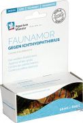 Aquarium Mnster Faunamor